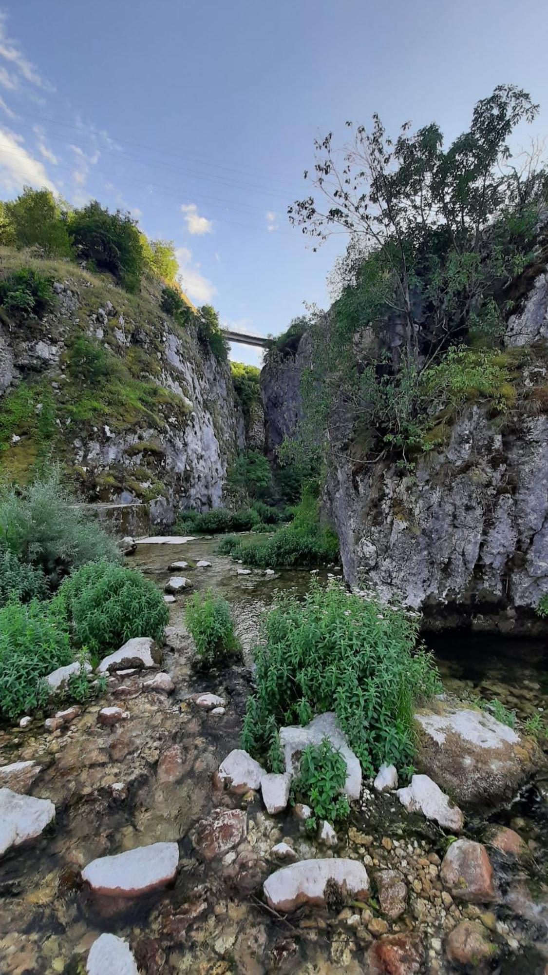 Apartments Durmitor Zabljak  Luaran gambar